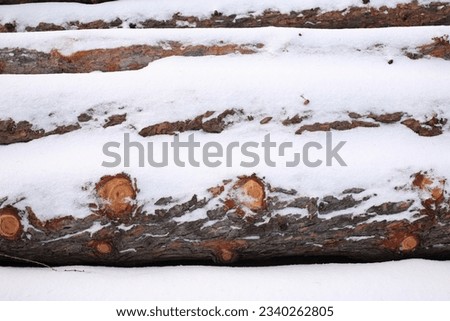 Stack of cut logs covered with snow