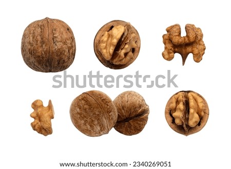 Walnuts set isolated on white background. Cut out nut parts. Whole round fruit, open shell, cracked kernel. Food elements for advertising layout design, vegetable oil, raw healthy snack packaging
