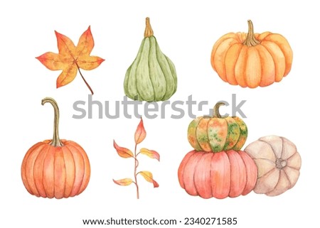 Watercolor hand drawn set with pumpkins. Autumn illustration clip art for decor