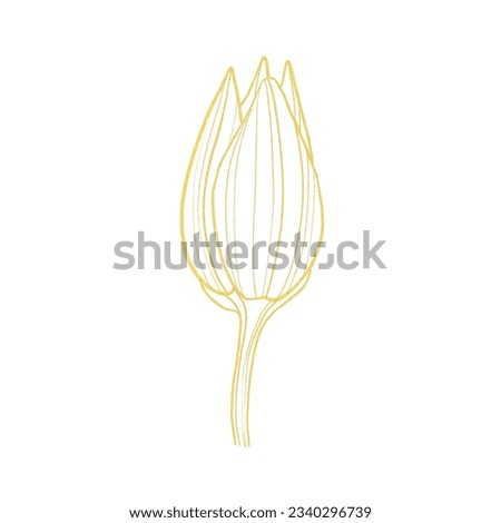 Line art illustration with gold lotus flower