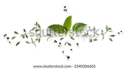Collection of fresh herb leaves. thymeand basil Spices, herbs on a white table. Royalty-Free Stock Photo #2340306601
