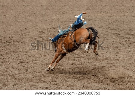 A cowboy is riding a bucking bronco at a rodeo in an arena. The horse has 2 back legs off the ground. The cowboy is wearing blue with a white hat. They are in a dirt arena. Royalty-Free Stock Photo #2340308963
