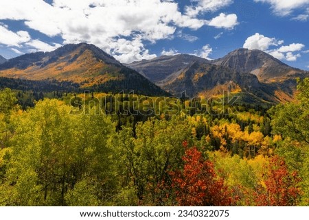 Scenic Mount Timpanogos landscape in Utah during autumn time with bright foliage.