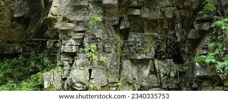 Rock face in a forest made up of large, angular blocks of stone covered in patches of green moss and ferns. There is a small cave or crevice in the center of the rock face. Royalty-Free Stock Photo #2340335753