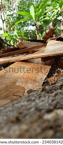 a pile of wood that will turn into furniture