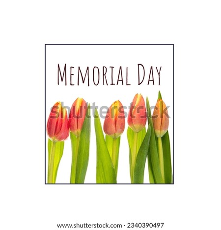 Digital composite image of memorial day text with tulip flowers in blue frame on white background. copy space, patriotism and identity concept.