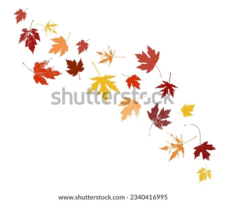 Autumn maple leaves, orange fall leaf, thanksgiving or halloween design elements in orange red and yellow autumn colors, seasonal clip art design elements for border or background illustrations