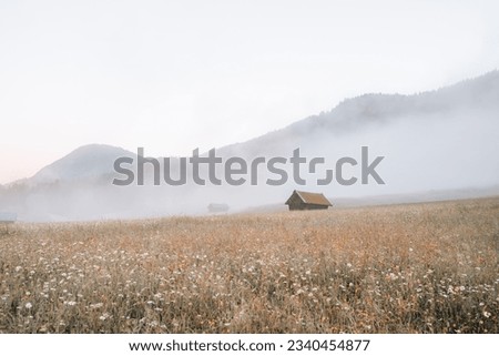 Meadows at foggy sunrise at Geroldsee, Wagenbruchsee, Bavaria, Germany Europe Royalty-Free Stock Photo #2340454877