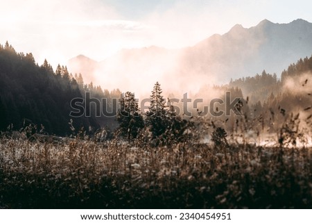 Amazing foggy Sunrise at Geroldsee, also Wagenbruchsee, Bavaria, Germany Europe Royalty-Free Stock Photo #2340454951