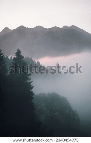 View on mountains and forest at sunrise at Geroldsee, Bavaria, Germany, Europe Royalty-Free Stock Photo #2340454973