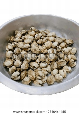 a photography of a bowl of clams on a white background, there is a bowl of clams in the water on the table.