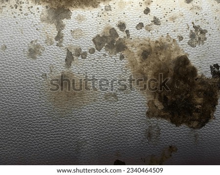 a photography of a dirty surface with a lot of dirt and dirt on it, wall with a lot of dirt and dirt on it.