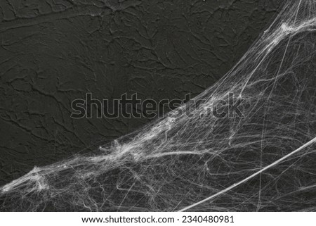 Spider web on black background. Halloween celebration