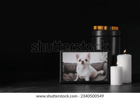 Frame with picture of dog, mortuary urn, collar and burning candles on dark background. Pet funeral