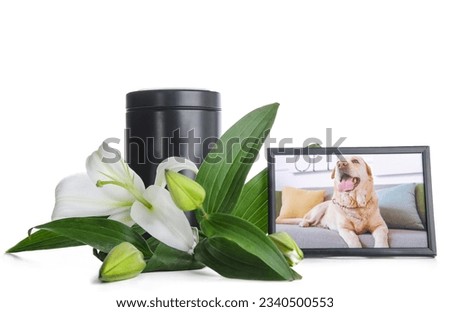 Frame with picture of dog, mortuary urn and beautiful lily flowers on white background. Pet funeral
