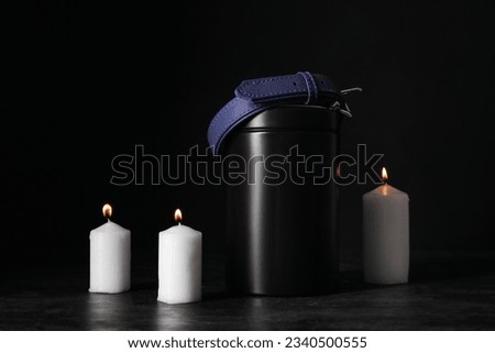 Mortuary urn, collar and burning candles on dark background. Pet funeral