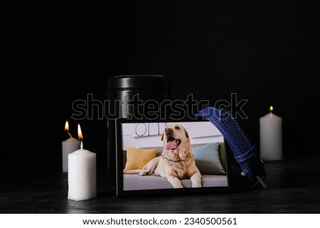 Frame with picture of dog, collar, mortuary urn and burning candles on dark background. Pet funeral