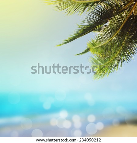 Tropical beach background with palm and blue sea
