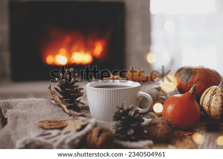 Warm cup of tea, pumpkins, autumn leaves, cozy scarf on rustic wooden table on background of burning fireplace. Hygge fall home, rural banner. Autumn still life. Happy Thanksgiving Royalty-Free Stock Photo #2340504961