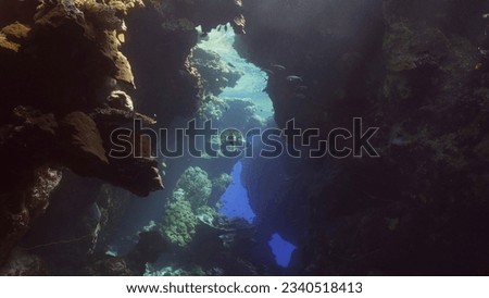 Sunshine penetrate the underwater coral cave and illuminate it. Tropical fish swim inside coral caves in the sunrays penetrating from the surface, Red sea, Egypt