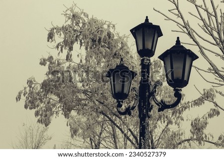 Rustic street lamp in front of snowy trees in winter