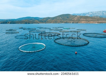 Offshore aquaculture in floating fish farming cages of fish farm in Aegean sea. Aerial shot Royalty-Free Stock Photo #2340561611