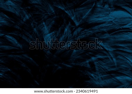 Beautiful macro dark blue feather pattern texture background 