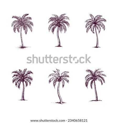 set of hand drawn palm tree isolated on white background