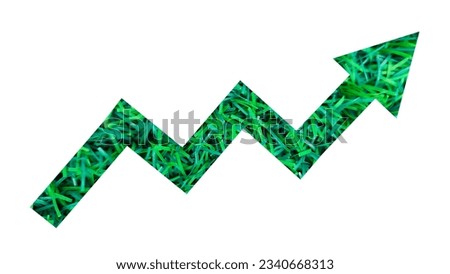 Green grass field and meadow forming Arrow shape sign on white background for Eco friendly sustainable growth concept. Eco environment investment fund and future green energy innovation business trend