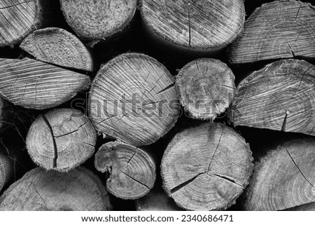 Cut firewood neatly stacked, black and white close up, cuts to the front