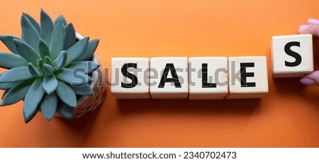 Sales symbol. Concept word Sales on wooden cubes. Businessman hand. Beautiful orange background with succulent plant. Business and Sales concept. Copy space.