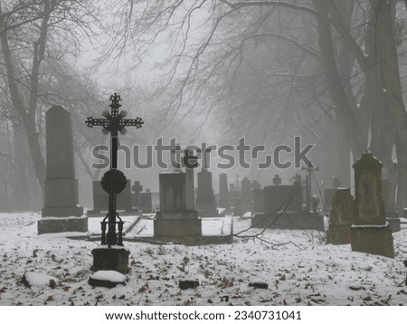 Old Catholic cemetery in winter. There is some snow on the ground and there is fog around. Royalty-Free Stock Photo #2340731041