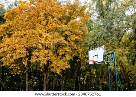 basketball outdoor. sport activity. autumnal season in the park. seasonal leaves and trees. natural landscape in autumn. autumn beauty of nature. fall season. nature in forest. copy space.