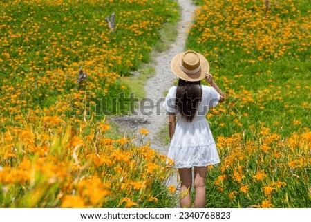 Travel woman go Flower field of beautiful orange daylily in Taimali Kinchen Mountain in Taitung of Taiwan Royalty-Free Stock Photo #2340768823