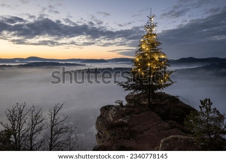 Captivating Sunrise at Wachtfelsen, Wernersberg. Enchanting Pfälzerwald: Mist, clouds, and a fir tree in the morning glow