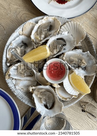 Fresh oysters, vinegar and shallot sauce and lemon on rocks. Oysters on ice