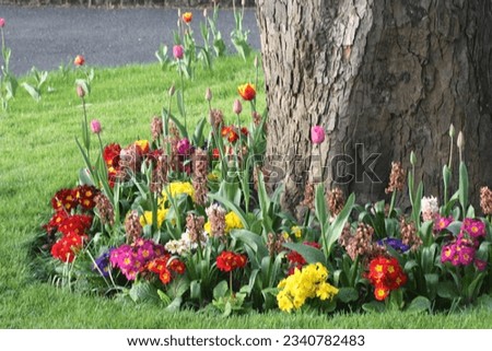 Beautiful Flowerbed with Bright Colorful Flowers around a Tree