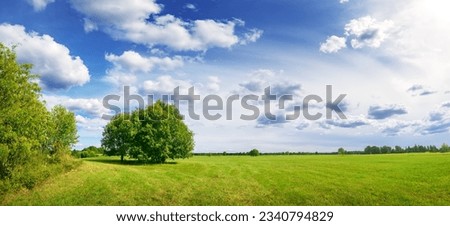 Beautiful panoramic background of the green field in natural park. Royalty-Free Stock Photo #2340794829