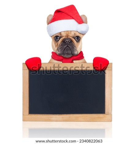 santa claus christmas dog behind and holding an empty blank blackboard, isolated on white background