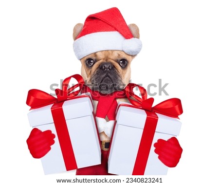 Santa claus christmas dog wearing a hat with a xmas gift or present for you