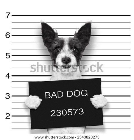 mugshot dog holding a black banner or placard