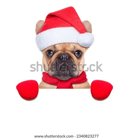 Santa claus christmas dog wearing a hat behind a blank white placard , isolated on white background