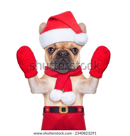 santa claus christmas dog isolated on white background, waving hands