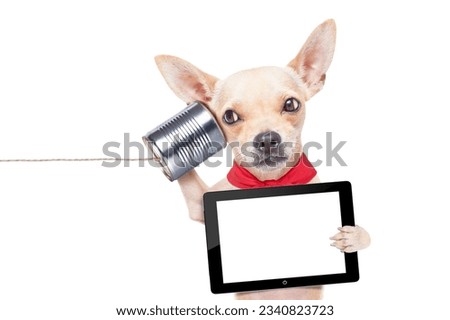 chihuahua dog talking on the phone surprised, holding a blank tablet pc, isolated on white background