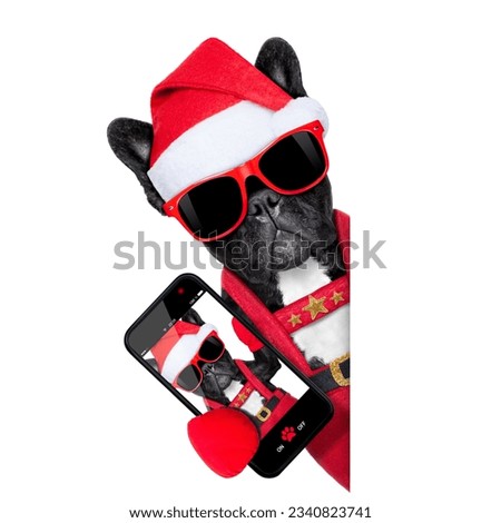 santa claus christmas dog wearing a hat taking a selfie, isolated on white background