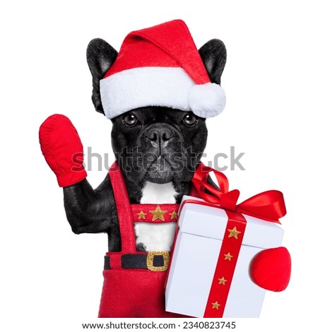 Santa claus christmas dog wearing a hat with a xmas gift or present for you