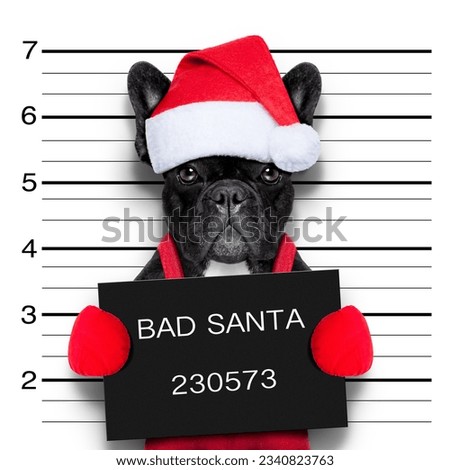 mugshot of a christmas santa bad dog