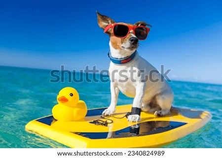 dog surfing on a surfboard wearing sunglasses with a yellow plastic rubber duck, at the ocean shore Royalty-Free Stock Photo #2340824989