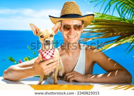chihuahua dog and owner on holidays with sombrero and sunglasses having fun together as a friends