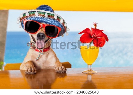 funny cool chihuahua dog drinking cocktails at the bar in a beach club party with ocean view